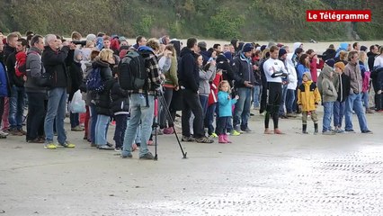 Crozon (29). La finale officielle de l’XtremGlissFestival