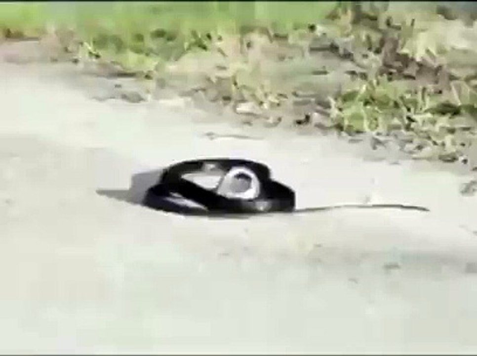 olm ya sdşglsgişfhfgkdgişfd