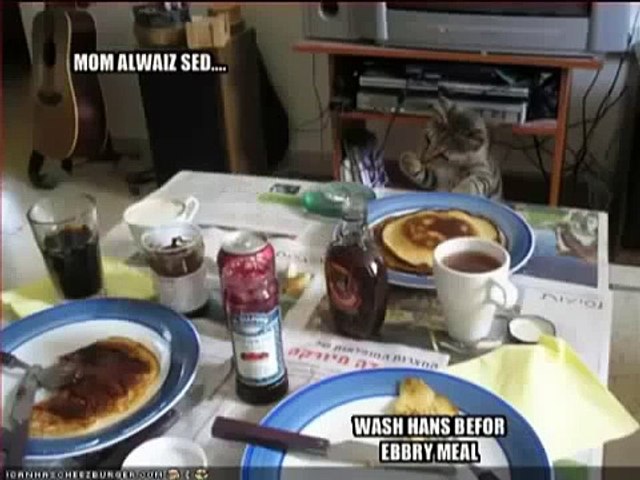 Funny & Fail Compilation Videos Best Funny Animal Videos 2015 (New)