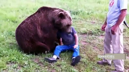 Funny Animal - Man vs Bear 2015 in USA