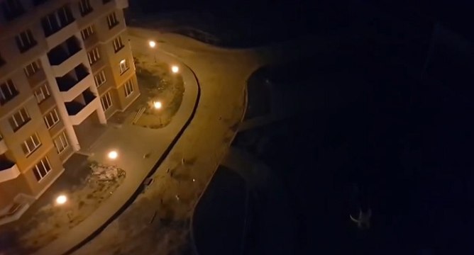 Il rend les chiens de son quartier fou grâce à un laser