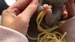 Spagetti Yiyen Sevimli Yavru Fareden Daha Tatlı Ne Olabilir ki? - İlginç - Garip