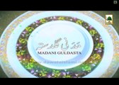 Bahut Zyada Sawalat - Maulana Ilyas Qadri - Madani Guldasta 287