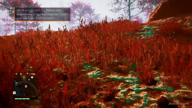 Yogi Et Reggie - Voler ou mourir