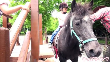 サファリパーク で ライオンの赤ちゃんにタッチしたよ♫ 動物園 ��