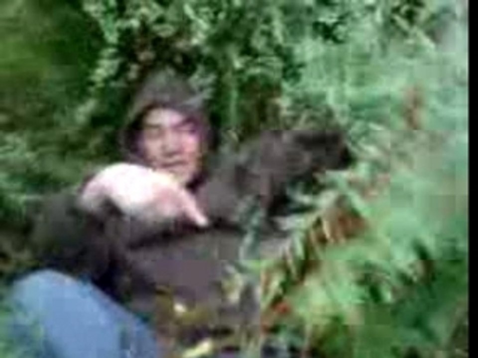 JumpKass 2 lui