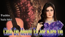 Nazia Iqbal - Chal De Meeni Ta Jor Kare De