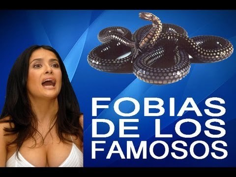 ¡Las Fobias de los Famosos! - Gabriela Natale