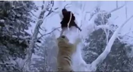 Amazing Scene Man Fights attacking Lion - Life in Danger - www.funhifunentertainment.com