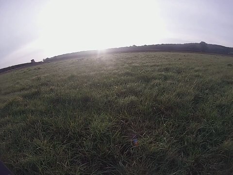 tonton hugo aux perdreaux