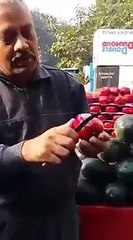 Funny Videos Compilation 2015  WhatsApp Videos Funny Indian Videos  Vine Compilation Part 161