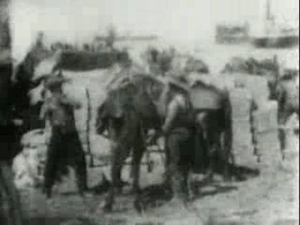 1898 - Packing Ammunition On Mules, Cuba