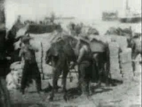 1898 - Packing Ammunition On Mules, Cuba