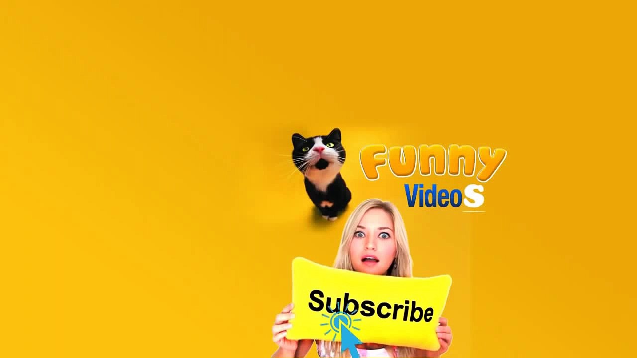 Funny Videos Compilation 2015  WhatsApp Videos Funny Indian Videos  Vine Compilation Part 183