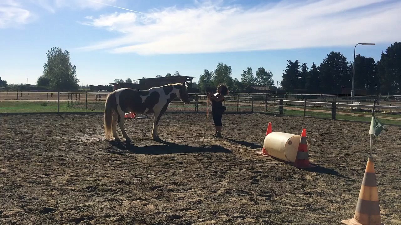 Challenge 2 - Cendrine & Ringo - Jeu du cercle