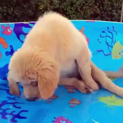 These fish are hard to catch...