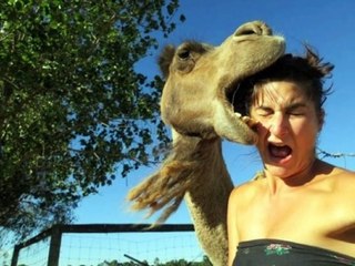 Amazing Photobombs and Photo Fails