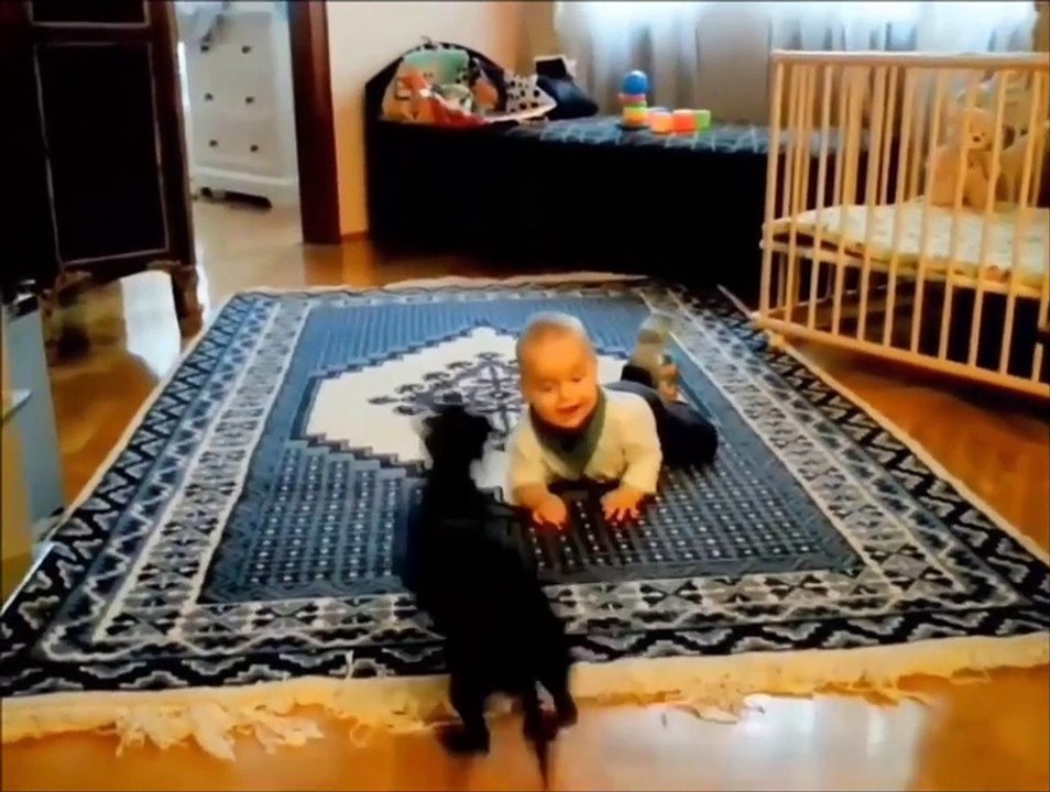 video drole de bébés animaux
