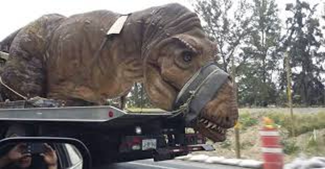 Encuentran un dinosaurio muerto en el Amazonas