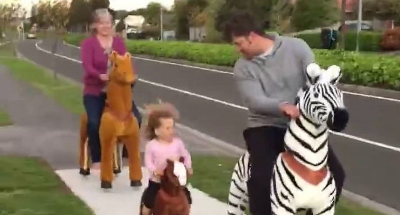 Une balade en cheval à bascule