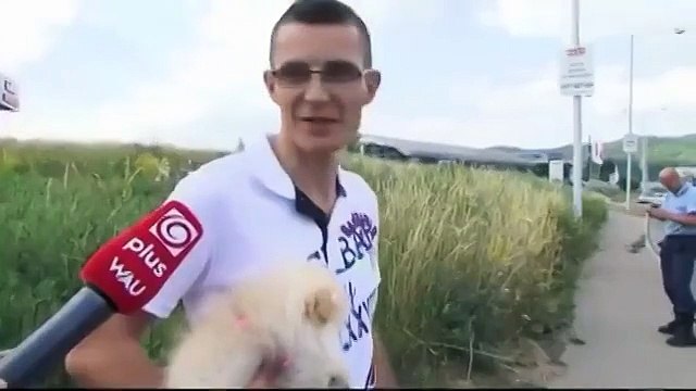 Моя вера в человечество восстановлена! Это невозможно мило!