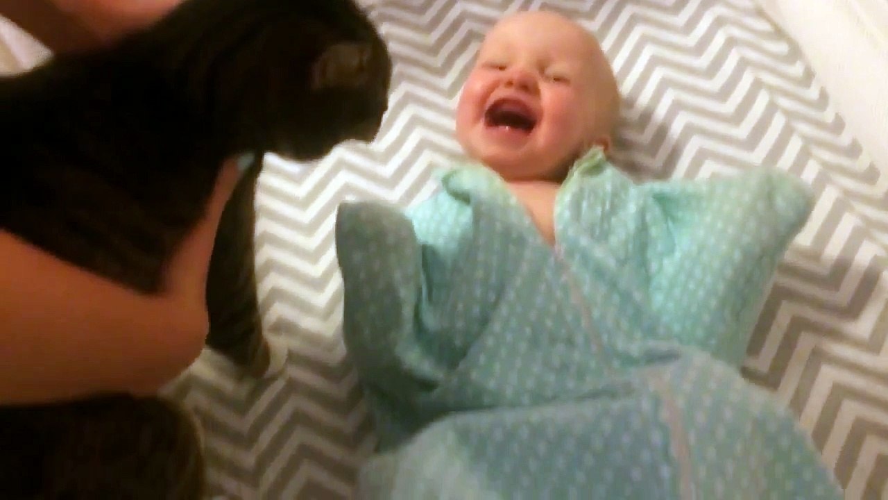 Малыш просто без ума от своего кота. Смотрю третий раз, и улыбка до ушей