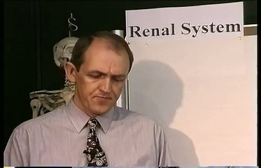 Urinary System Part 1- The Kidneys