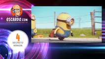 Minions 2015 : CURIOSIDADES y Secretos de la pelicula y trailer (en Español)