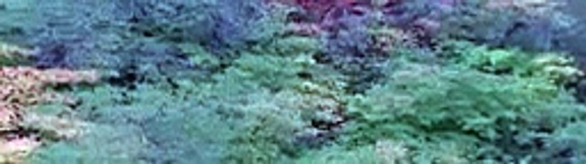 1 Hour Piano Music for Sleep, Insomnia, Stress Relief, and Deep Sleep.