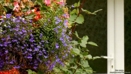 Escape to the Country North East Wales Part 1 of 3 [12: 73]