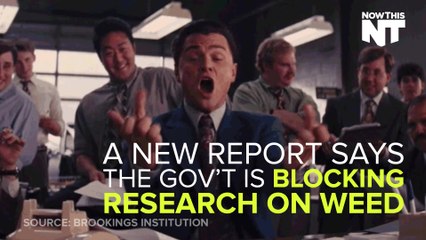 The Government Refuses To Classify Weed For Medical Research