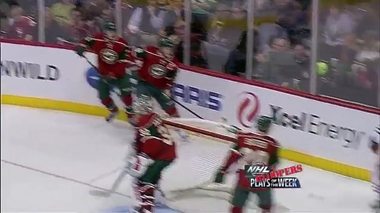 Top 10 NHL Bloopers