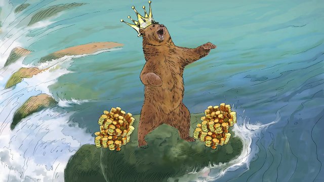 Cartoon Network | Você acha que sabe tudo sobre ursos? | Ursos Sem Curso