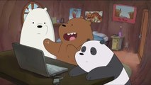 Ursos Sem Curso Primeiro trailer Cartoonnetwork