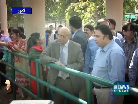 PU VC Dr Mujahid Kamran adopts a leopard's cub