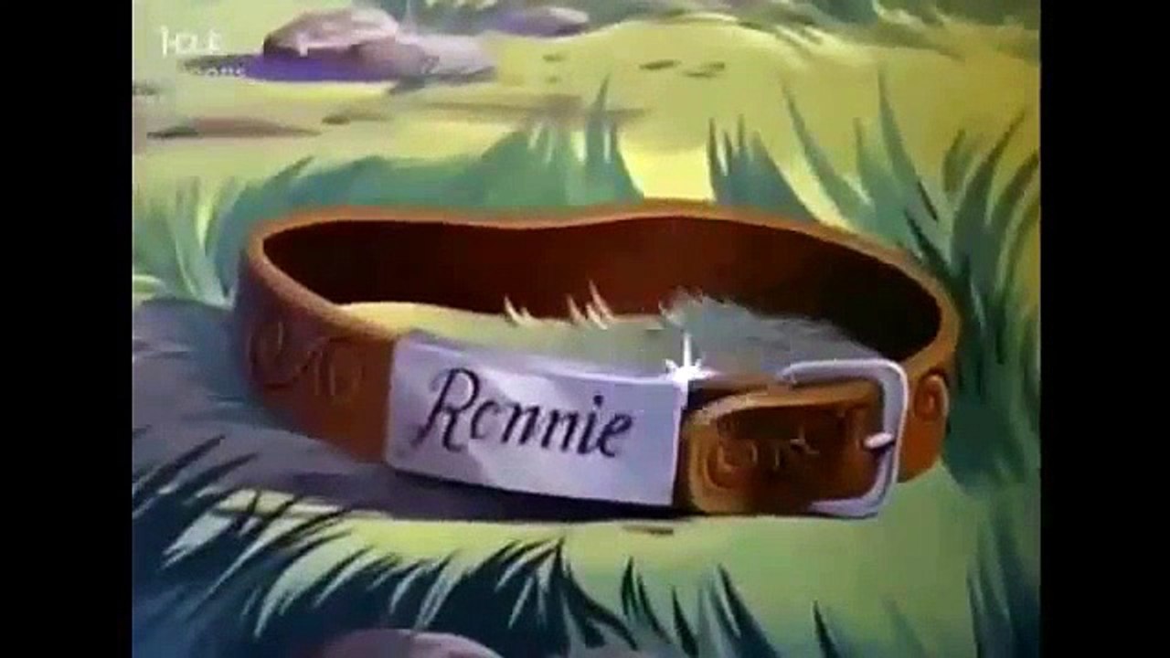 España Walt Disney 1935 El Jardin De Mickey cuentos infantiles(padres,estimular,bebes,lo