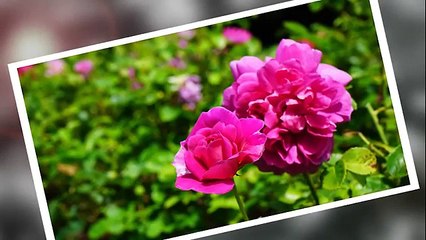 5 Camera Settings Everyone Should Know