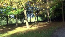 LES PROMENADES DE MICHOU W-D.D. - 16 OCTOBRE 2015 - BIZANOS - DE BANCS EN BANCS DANS LE PARC DU CHÂTEAU DE FRANQUEVILLE.