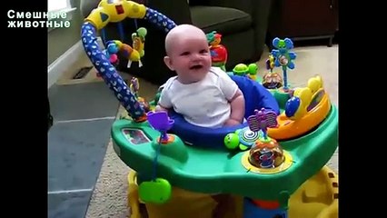 Children laugh at the dogs. Dogs catch bubbles