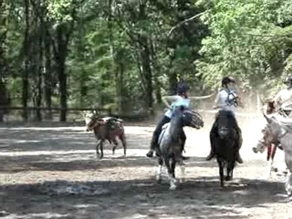 Horse Ball joncs marins