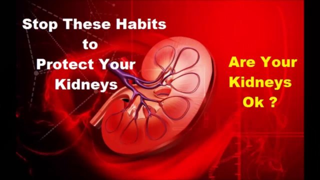 Are Your Kidneys Ok _ Stop these 7 Habits to Protect Your Kidneys