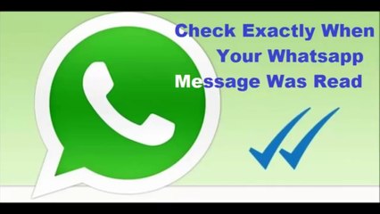 Check When Your WhatsApp Message was Read and who Read it