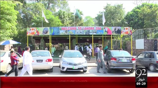 Punjab University Ny 3Mahh ky Cheety Ko Chirya Ghar Sy Godh Ly Liya – 22 Oct 15 - 92 News HD