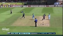 Cricket amazing Run out