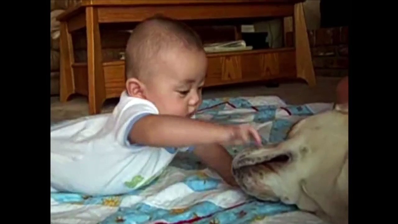 The cutest babies compilation ever!!!