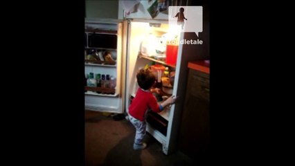 Toddler opens the fridge and tries to climb inside