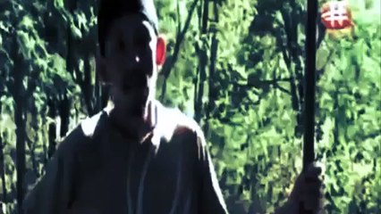 giant komodo dragons