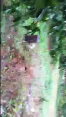 açılmış mezar odası