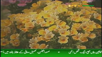 TERE TAY MERE PAYE GAE KAHANI - NOOR JAHAN