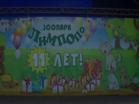 2015 год. Нижний Новгород. Зоопарк Лимпопо